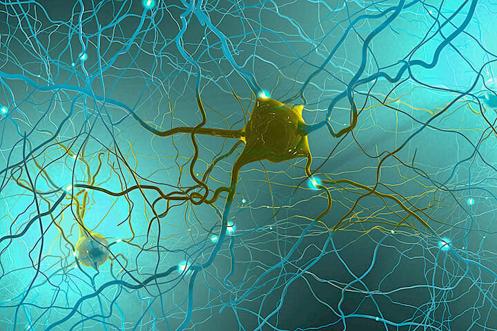 神経組織のイメージ
