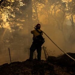 アングル：今年は山火事増加も、米で懸念される深刻な