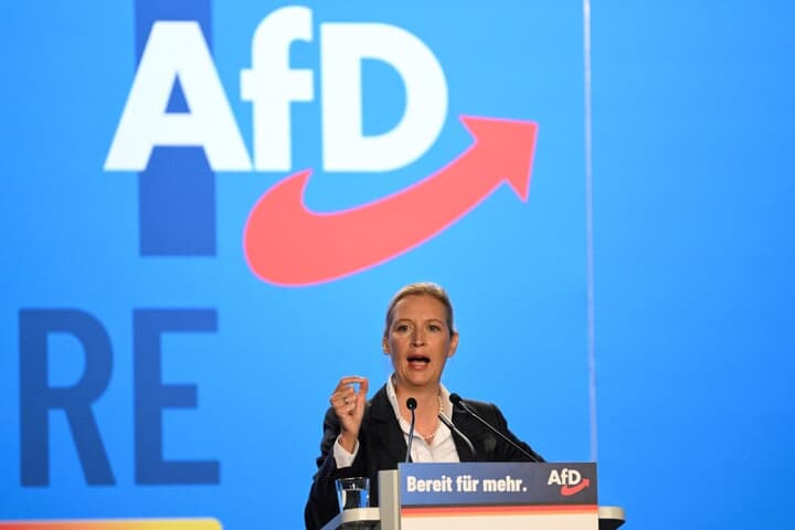 「ドイツのための選択肢」のアリス・ワイデル共同党首