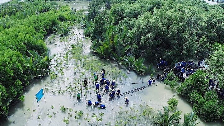 タイ、マングローブ林再生プロジェクト
