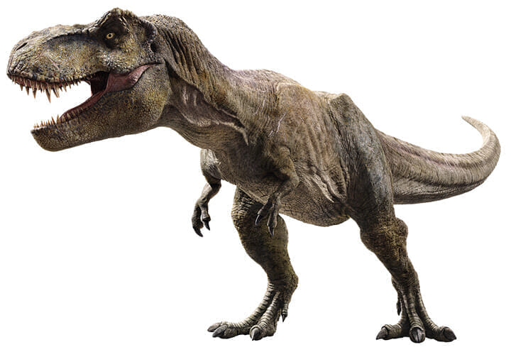 ハイブリッドな恐竜もいる 怖くて愛すべき恐竜図鑑 ニューズウィーク日本版 オフィシャルサイト