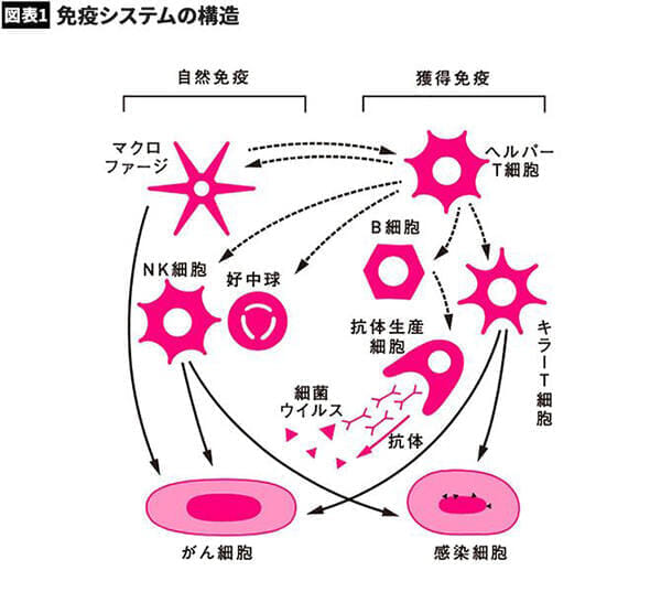 新型コロナが重症化してしまう人に不足していた ビタミン の正体 ニューズウィーク日本版 オフィシャルサイト