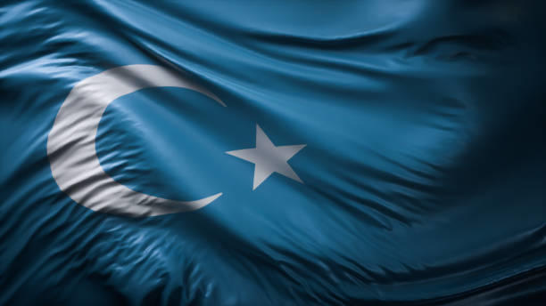 東トルキスタンを象徴する旗