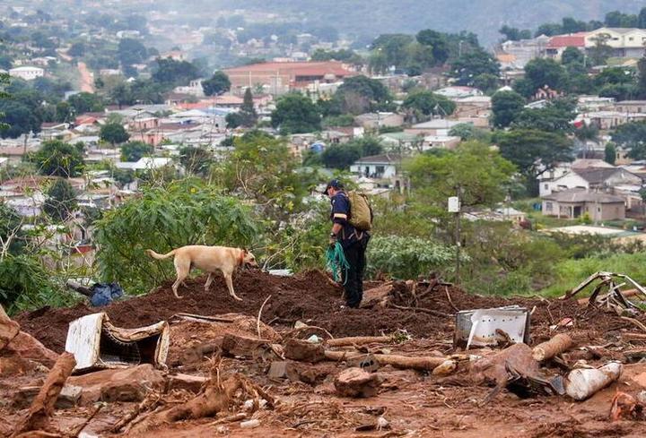 南アフリカのダーバン近郊で捜索活動を行う救助隊員と救助犬