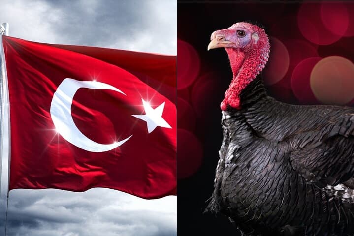 トルコと七面鳥
