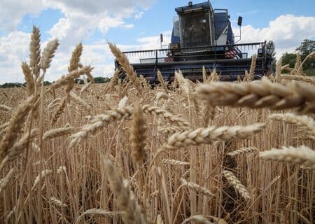 ウクライナ東部ドンバス地域の小麦収穫風景