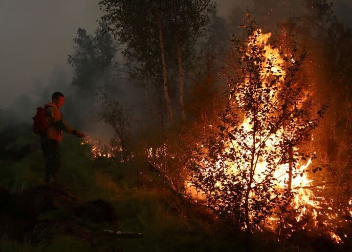 ロシアの森林火災