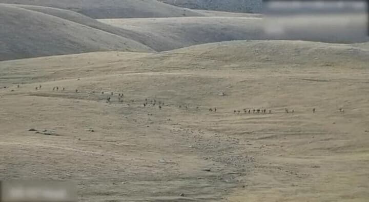 アルメニアとの境界地域を移動するアゼルバイジャンの部隊