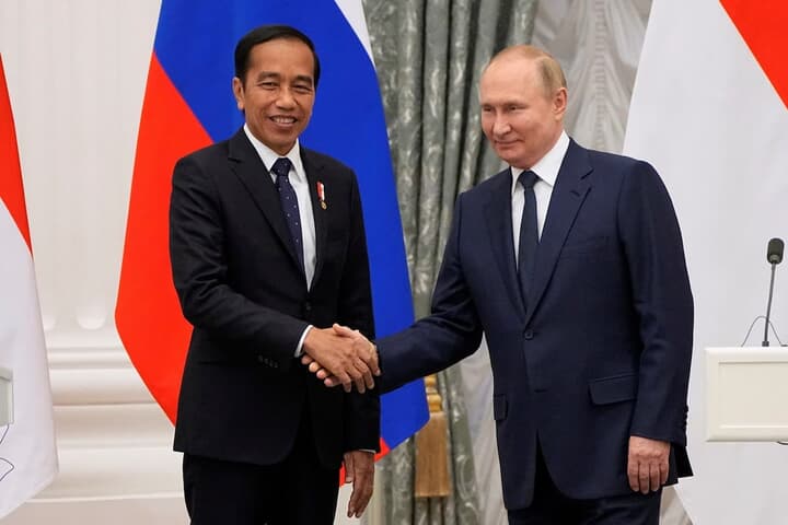 ロシアのプーチン大統領とインドネシアのジョコ大統領