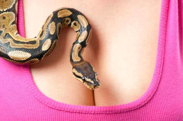 女性の胸元にヘビ