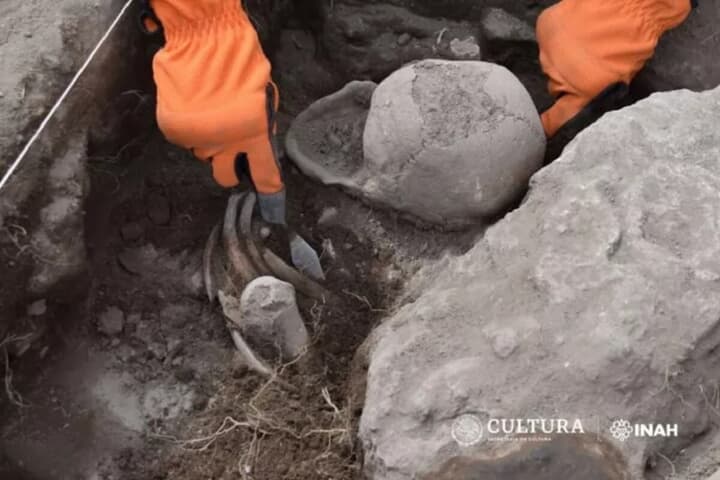 メキシコのラ・フェレリア考古学地帯の発掘現場