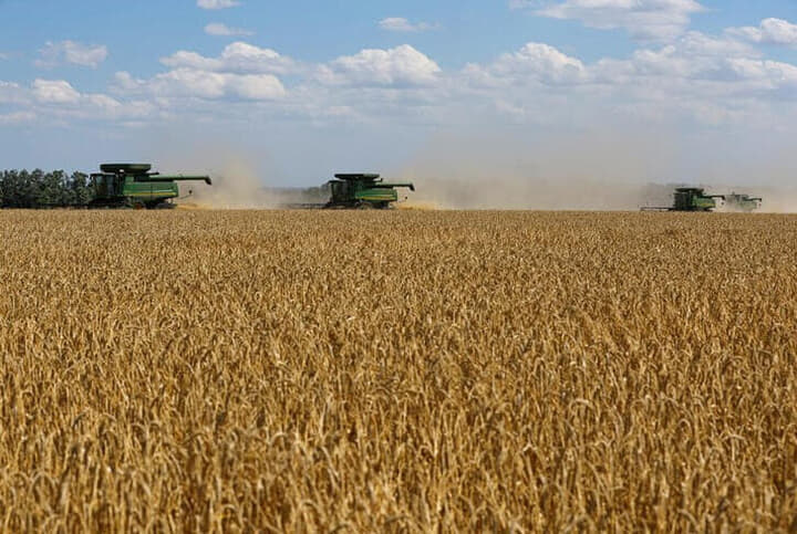ウクライナの小麦畑とコンバイン
