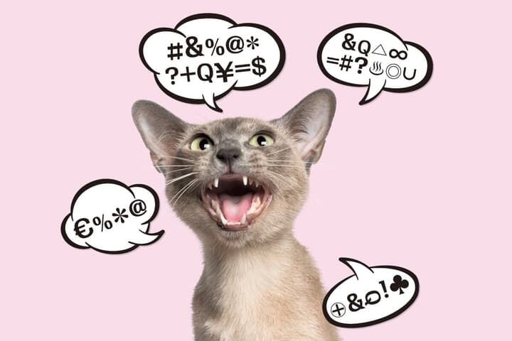 「猫語」翻訳AIアプリ