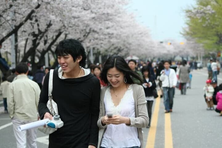 韓国ソウルの汝矣島桜まつりを楽しむカップ