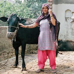 五常のローンで水牛を買ったインドの畜産業の女性　COURTESY OF TAEJUN SHIN