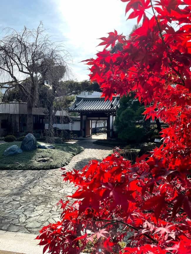圓照寺 日本庭園