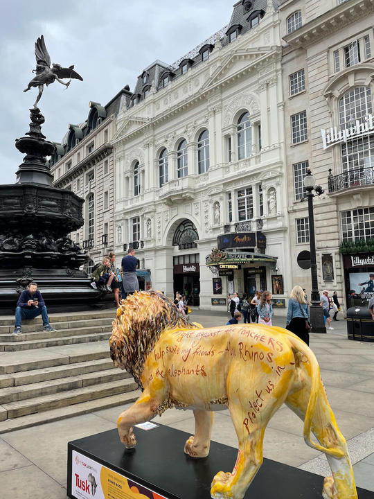 ロンドンに現れたライオンを追いかける｜England Swings!｜World Voice