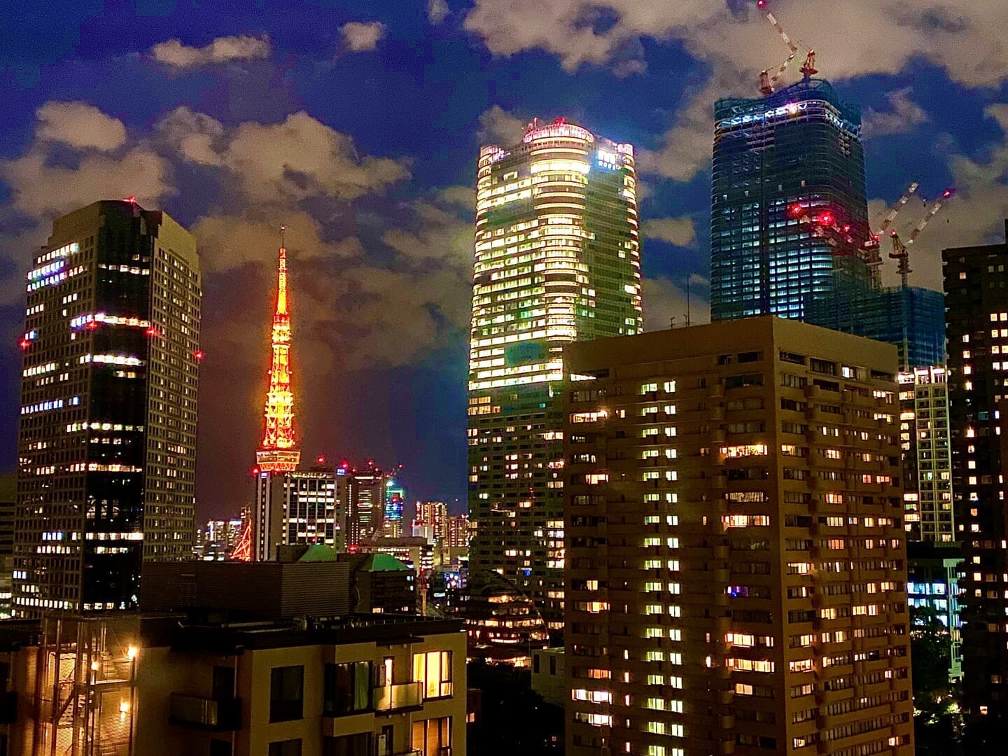 Tokyo scene.jpg